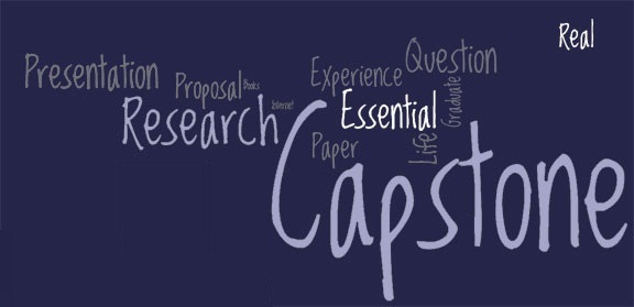 291_capstone-wordle-ps.jpg